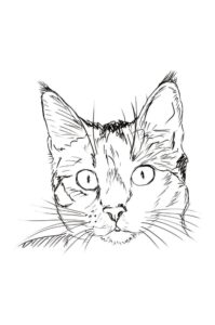 Hello Kitty Coloring Page 1
