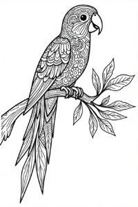 Mandala Parrot 2