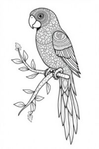 Mandala Parrot 2