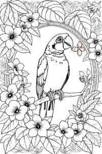 Parrot Coloring Page 6