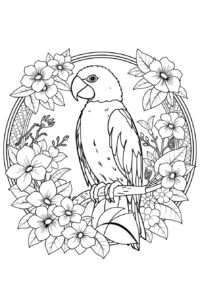 Parrot Coloring Page 5