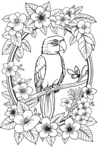 Parrot Coloring Page 3