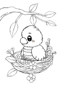 Parrot Coloring Page 1