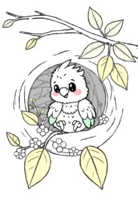 Parrot Coloring Page 6